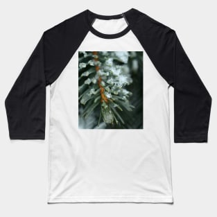 Pine Baseball T-Shirt